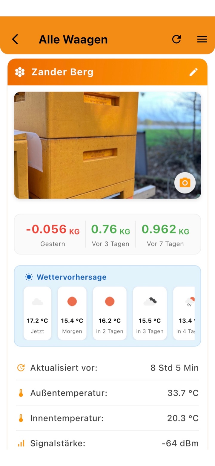 XDiBee-App: Dashboard