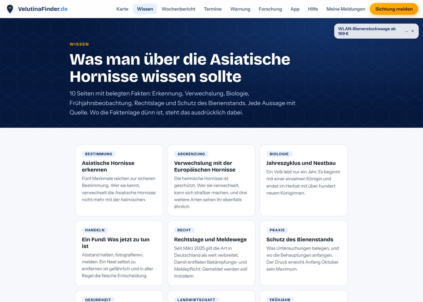 Wissensbereich von VelutinaFinder mit Seiten zum Erkennen, Unterscheiden und zum Jahreszyklus