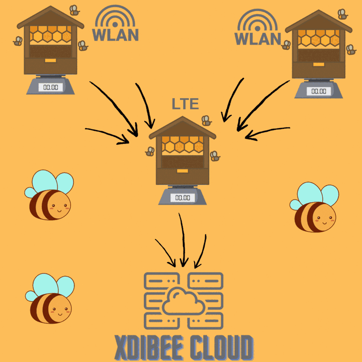Schaubild: Zwei WLAN-Bienenstockwaagen senden ihre Messwerte an eine LTE-Waage in der Mitte, diese überträgt alle Daten über Mobilfunk in die XDiBee Cloud.